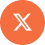 Twitter X Icon